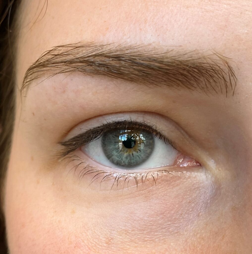 Eyeliner tattoo Training at DAELA