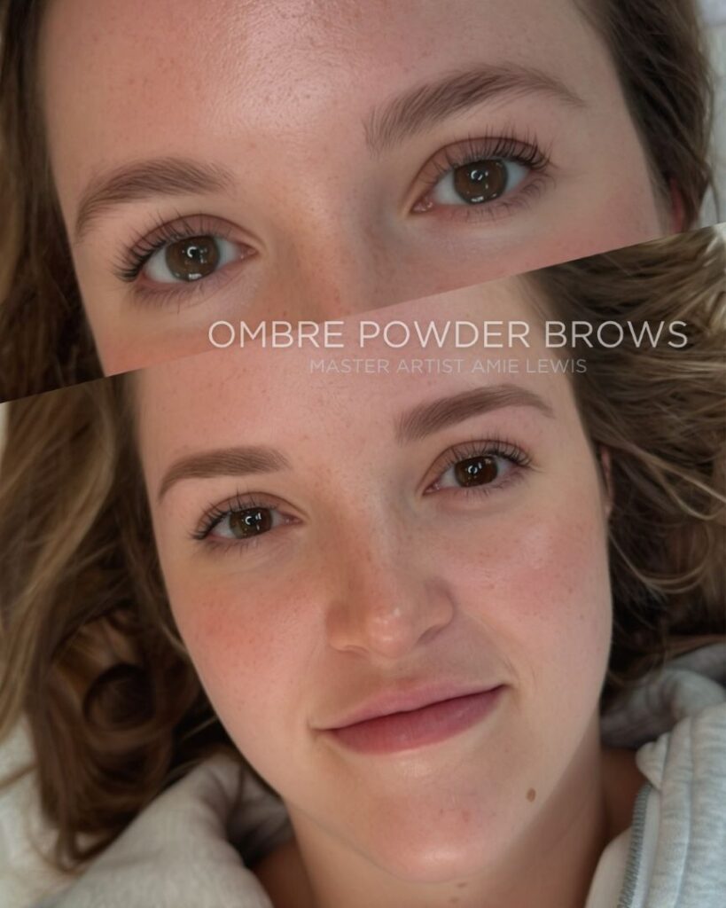 Ombre Powder Brow Training