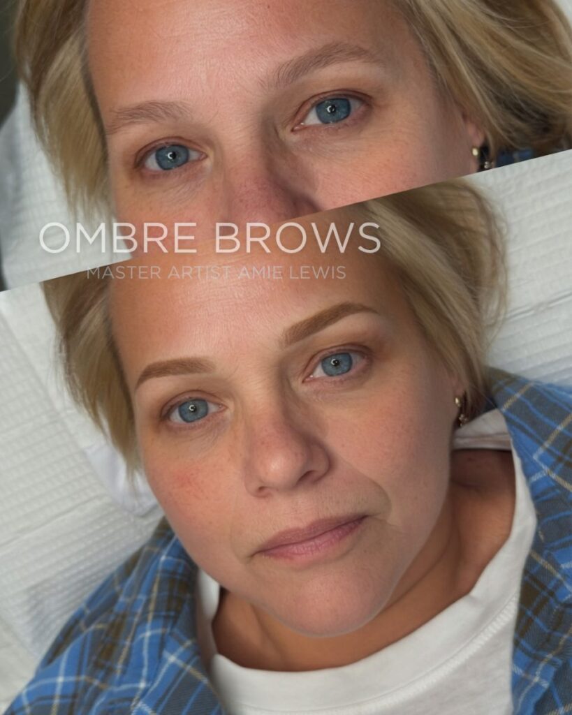 Ombre Powder Brow Training