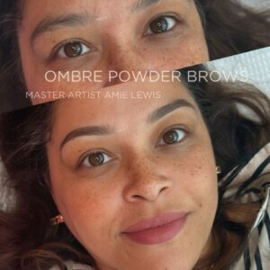 Ombre Powder Brow Training
