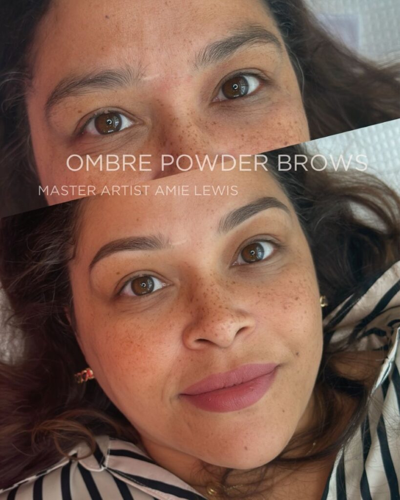 Ombre Powder Brow Training