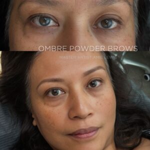ombre powder brow online class